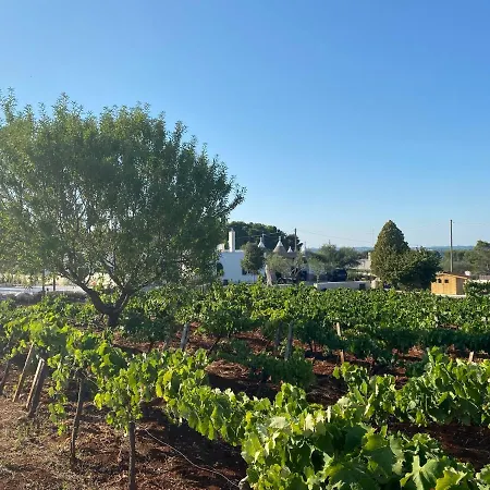 Trulli Martina Martina Franca