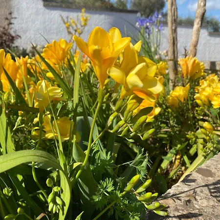 Trulli Martina Martina Franca