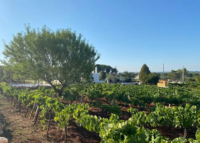 Trulli Martina 马丁纳弗兰卡